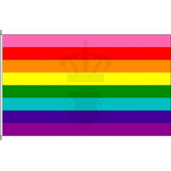   Gay flag 8