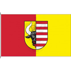 MSE-Penzlin