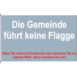 MSE-Leizen